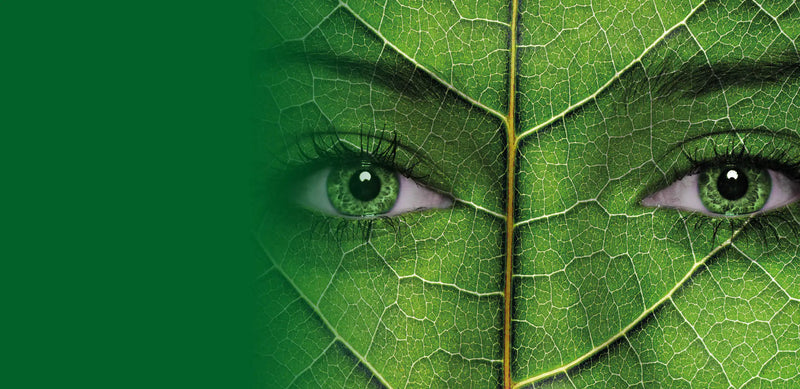 Sustainability Without the Blast
